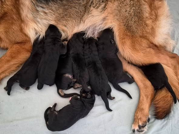 Naissance !